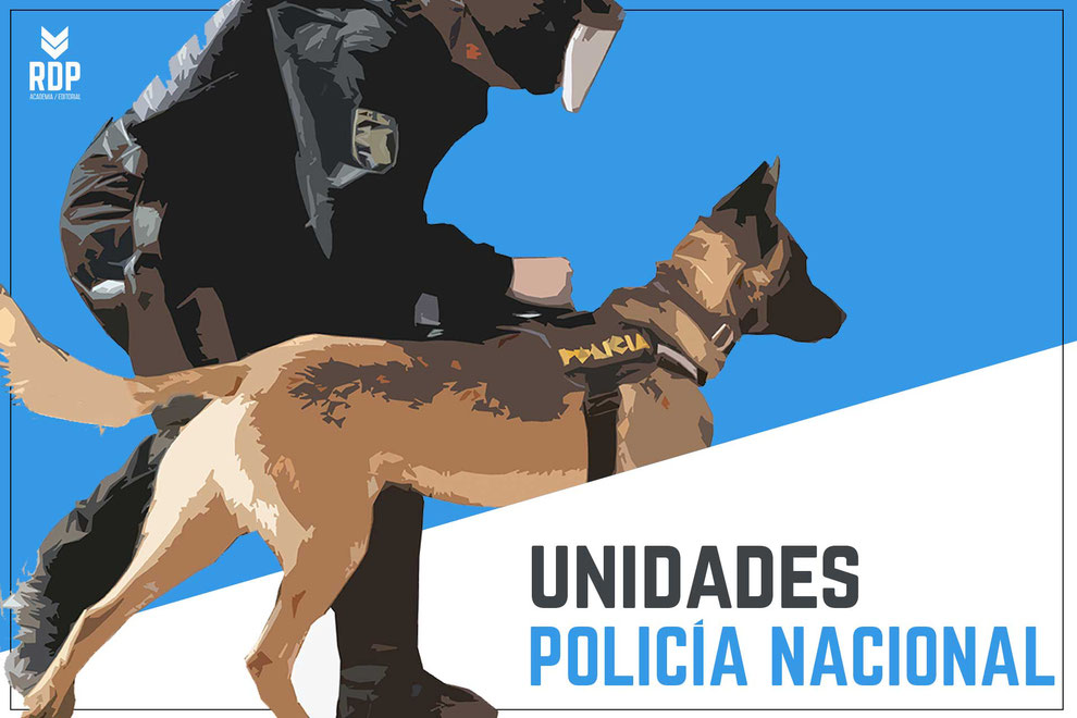 unidades de la policia nacional